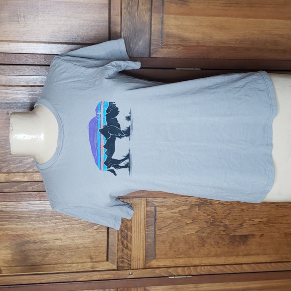 Patagonia Tops - Patagonia FITZ ROY BISON Crew T-Shirt Sz S